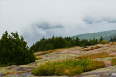 Bar Harbor Cadillac Mountain cruise excursion